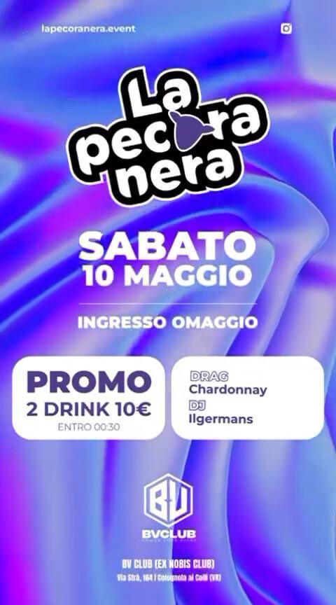 BV CLUB VERONA | LA PECORA NERA