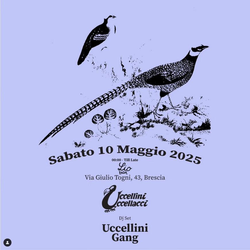 LioBar | Uccellini Uccellacci