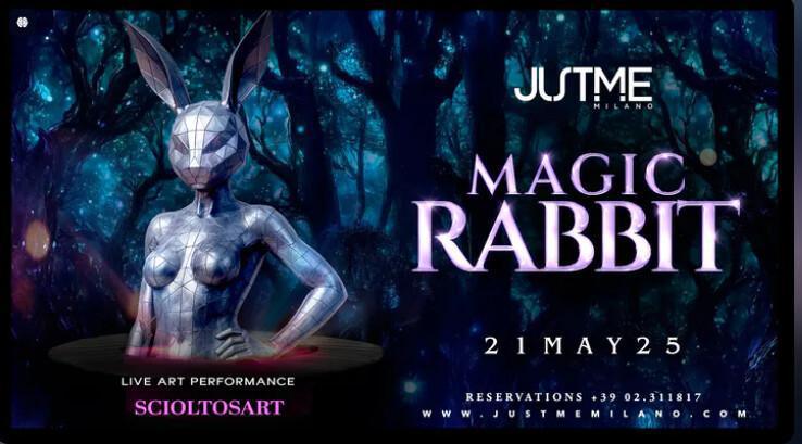 Justme Milano | Wednesday Night - Magic Rabbit