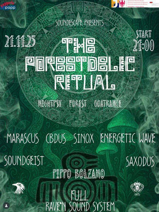 Pippo Foodchillstage | THE FORESTDELIC RITUAL Pippo Foodchillstage | THE FORESTDELIC RITUAL