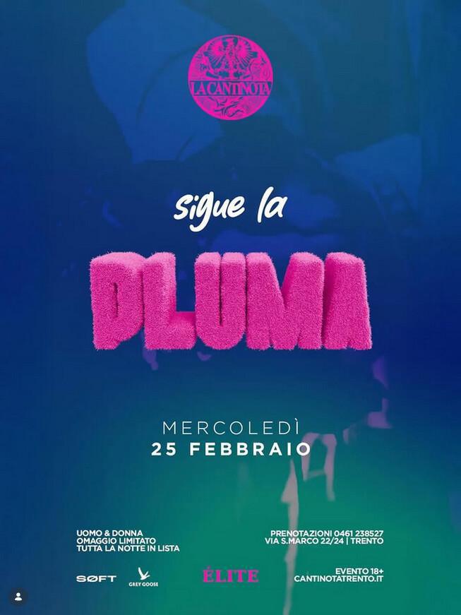 La Cantinota DOPO CENA | PLUMA 🏝️