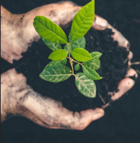 Les Eléis, un centre tout vert Les Eléis, un centre tout vert