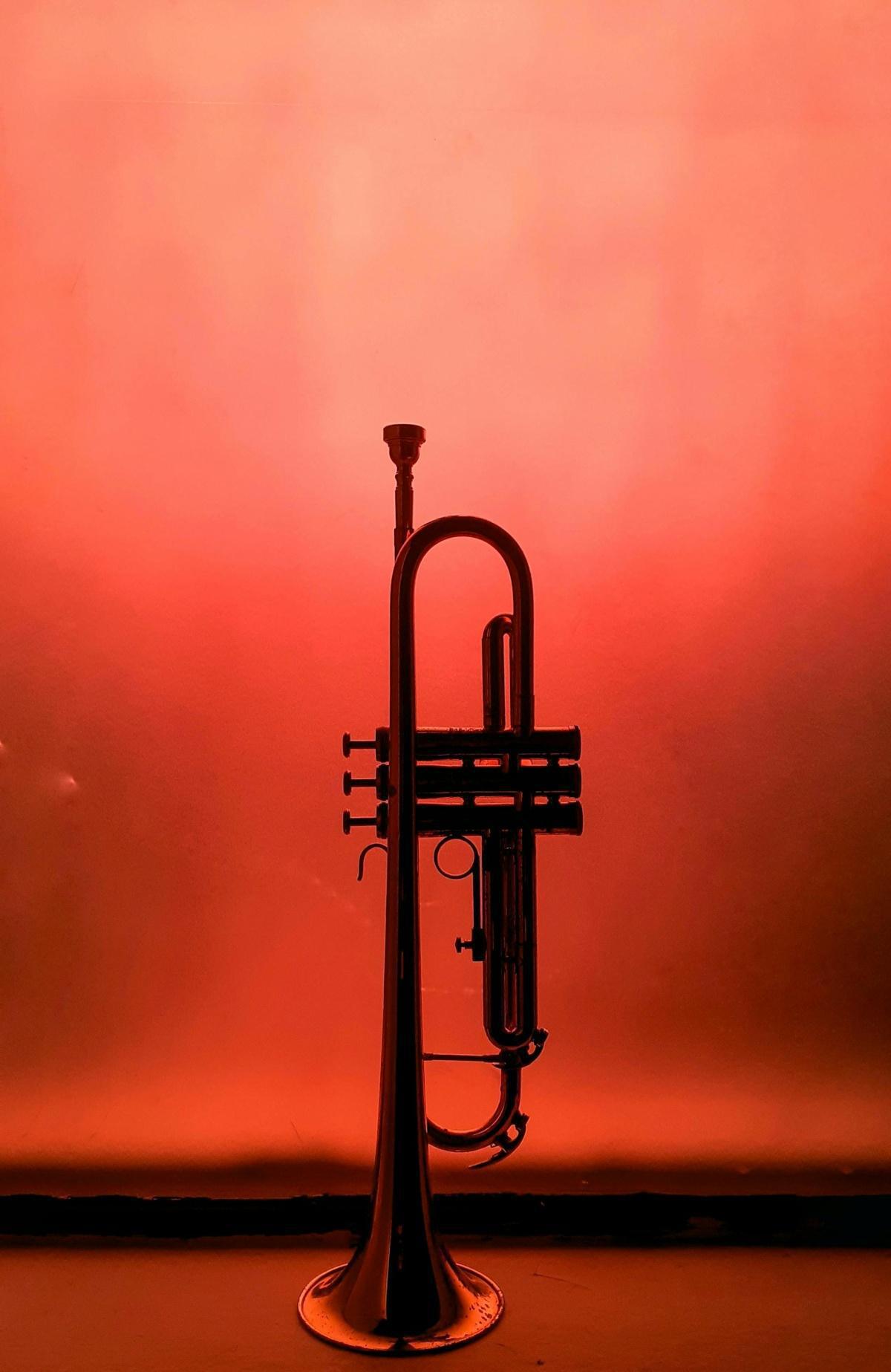 الجاز يُفاجئ جمهوره: مهرجان قادش يثبت أن الموسيقى تتجاوز الأحكام المسبقة الجاز يُفاجئ جمهوره: مهرجان قادش يثبت أن الموسيقى تتجاوز الأحكام المسبقة