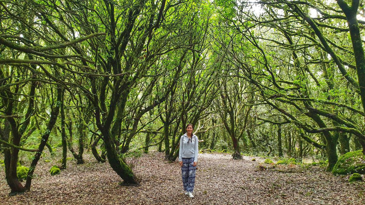 10 Cose da Fare 10 Cose da Fare