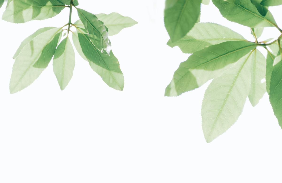 Initiatieven om te delen - GIDSLAND in gesprek met Rineke Dijkinga | Mooi eten uit de lokale keten Initiatieven om te delen - GIDSLAND in gesprek met Rineke Dijkinga | Mooi eten uit de lokale keten