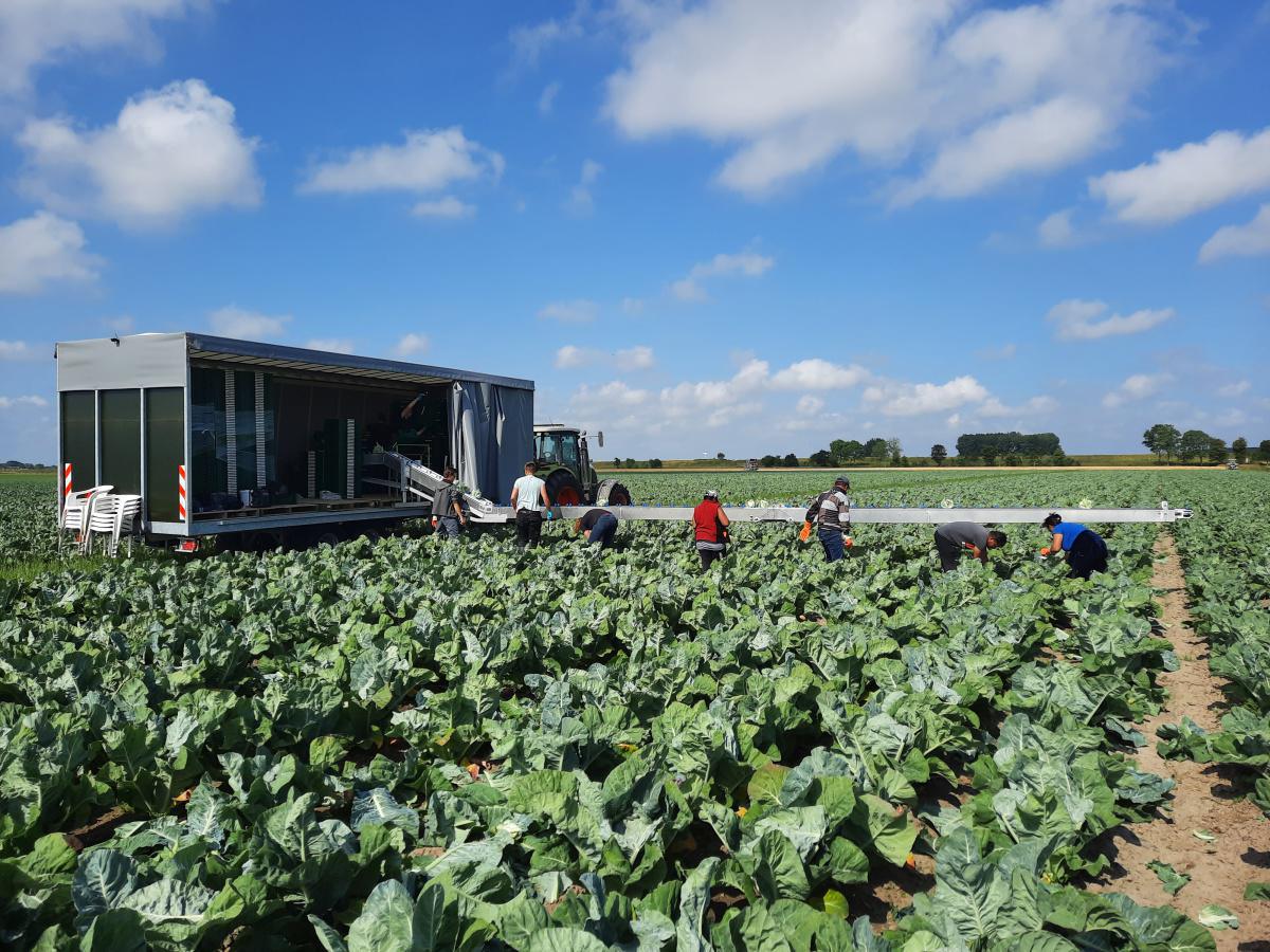 BakkerBio | Biologisch dynamisch landbouwbedrijf Munnekezijl