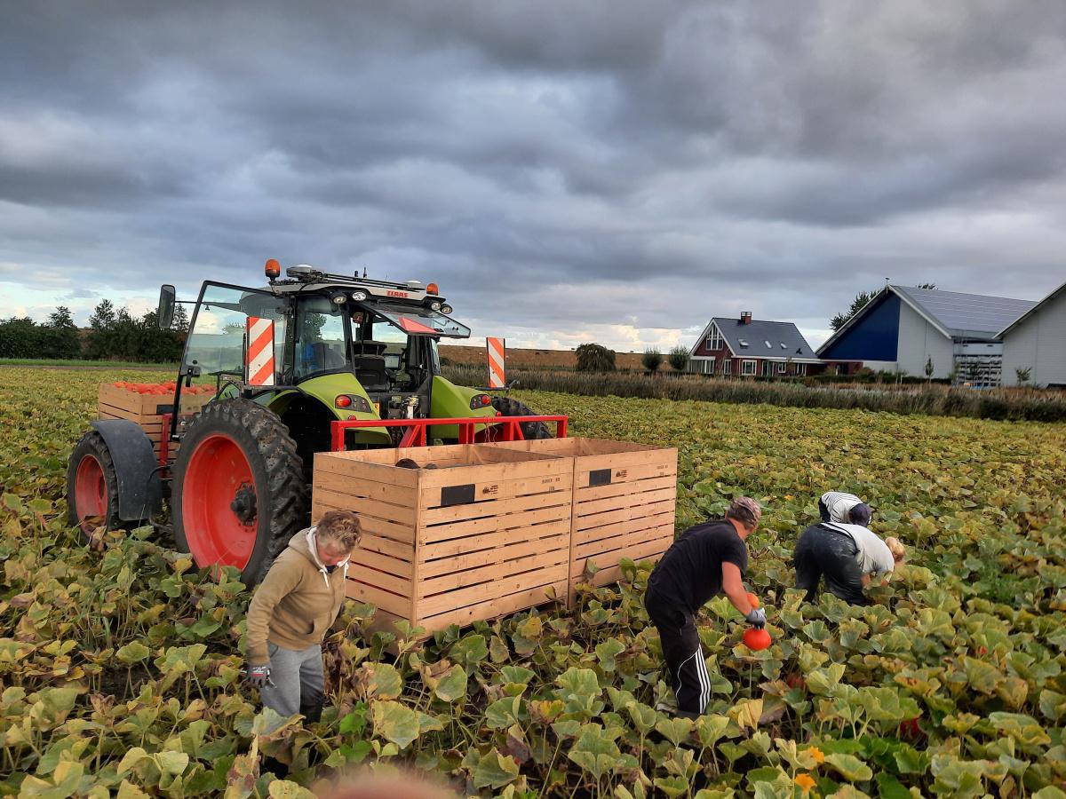 BakkerBio | Biologisch dynamisch landbouwbedrijf Munnekezijl