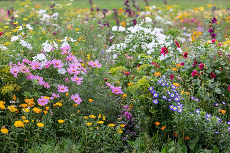 Eikemaheert | Biologisch landbouwbedrijf