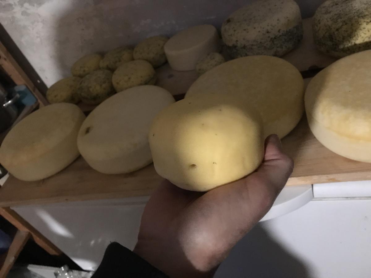 Biocertificering van ons voedsel en prijswinnaars bekend! Biocertificering van ons voedsel en prijswinnaars bekend!