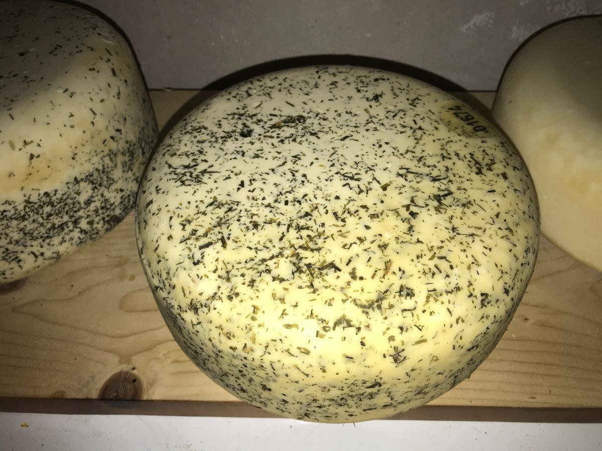 Jaa in de webshop Graskaas! Jaa in de webshop Graskaas!