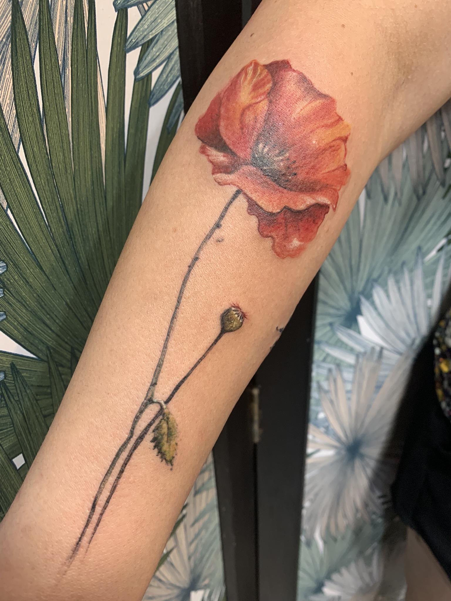 Coquelicot