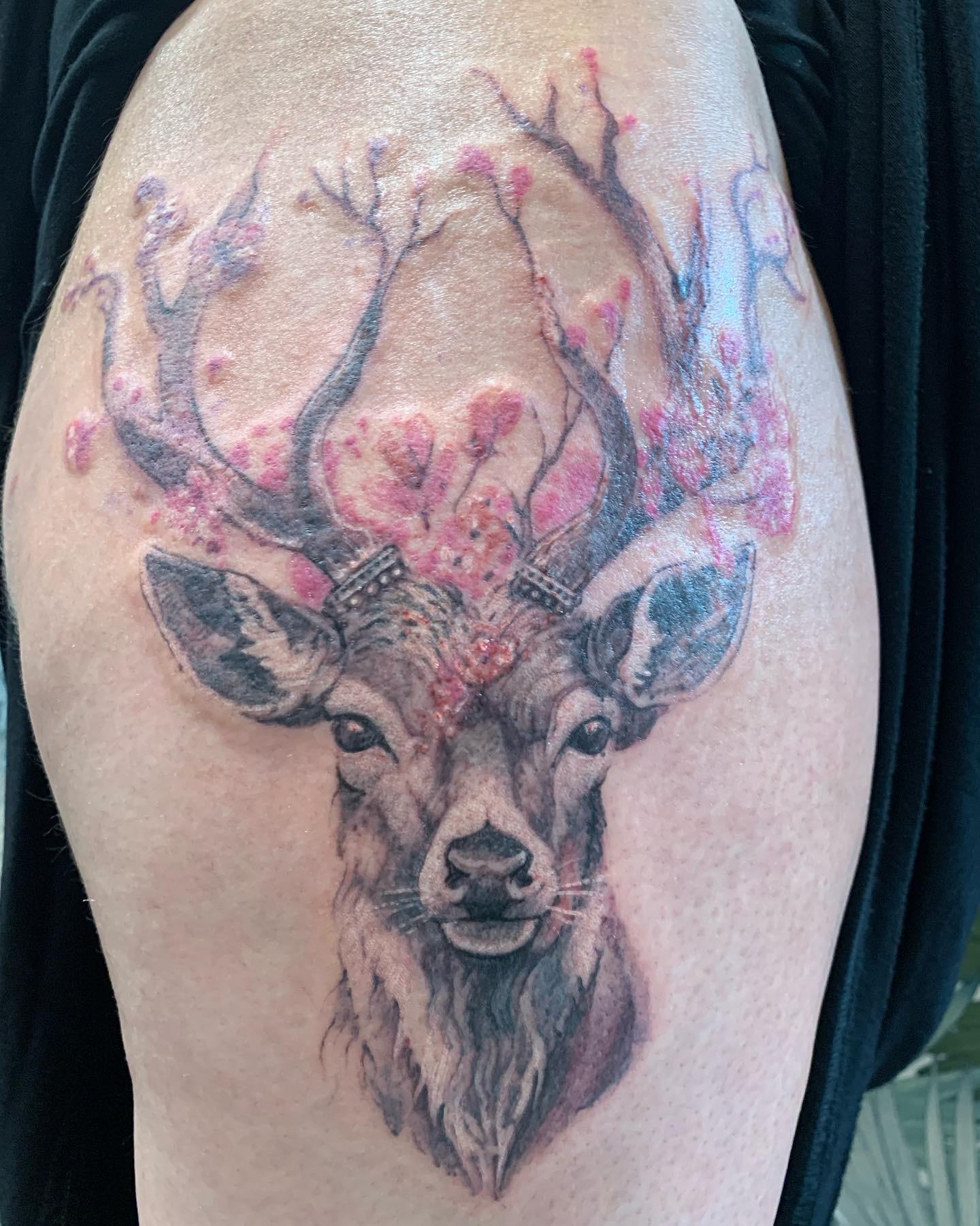 Cerf et fleurs de cerisier