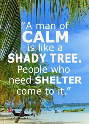 Flow States Flow States