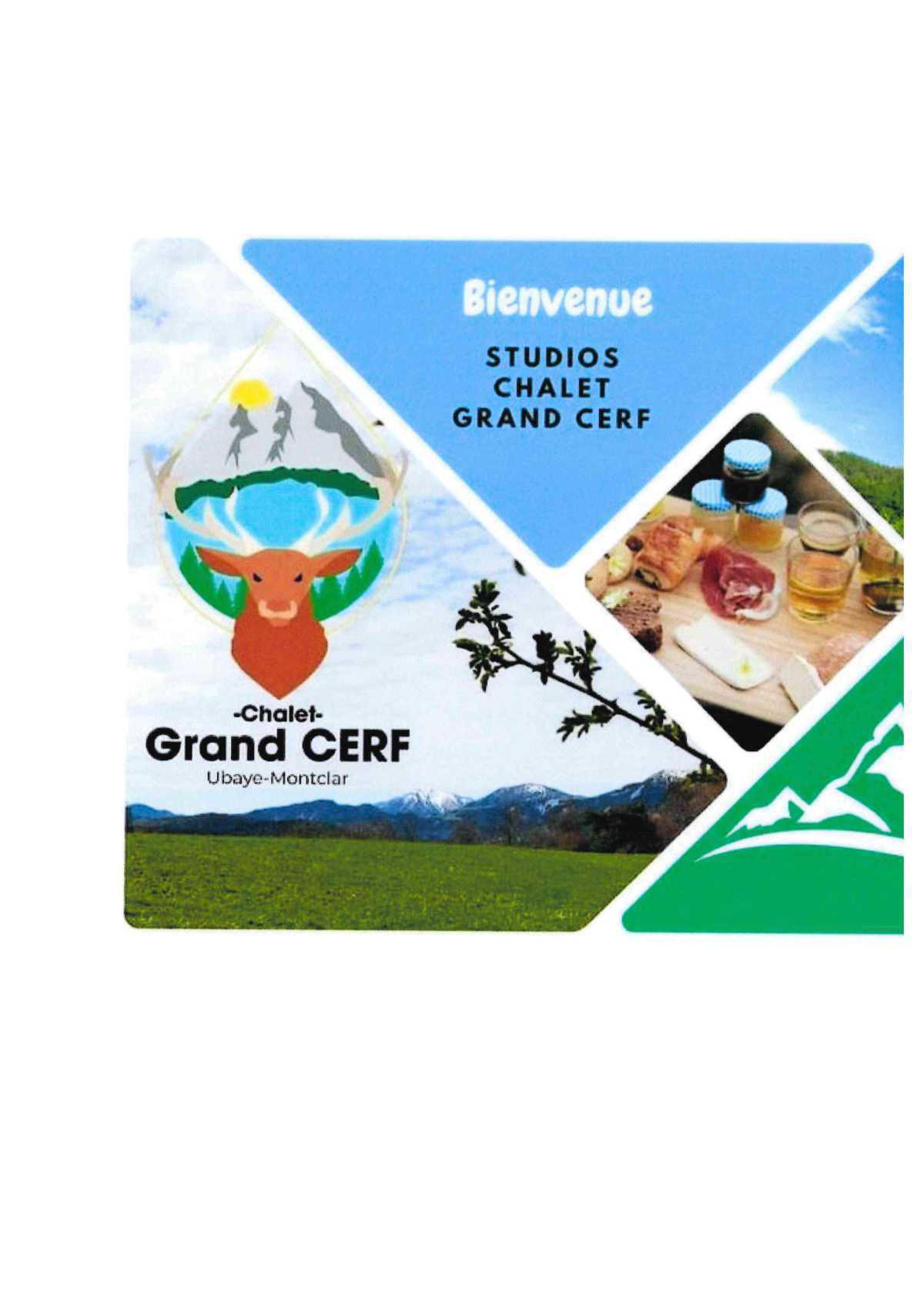 CHALET GRAND CERF