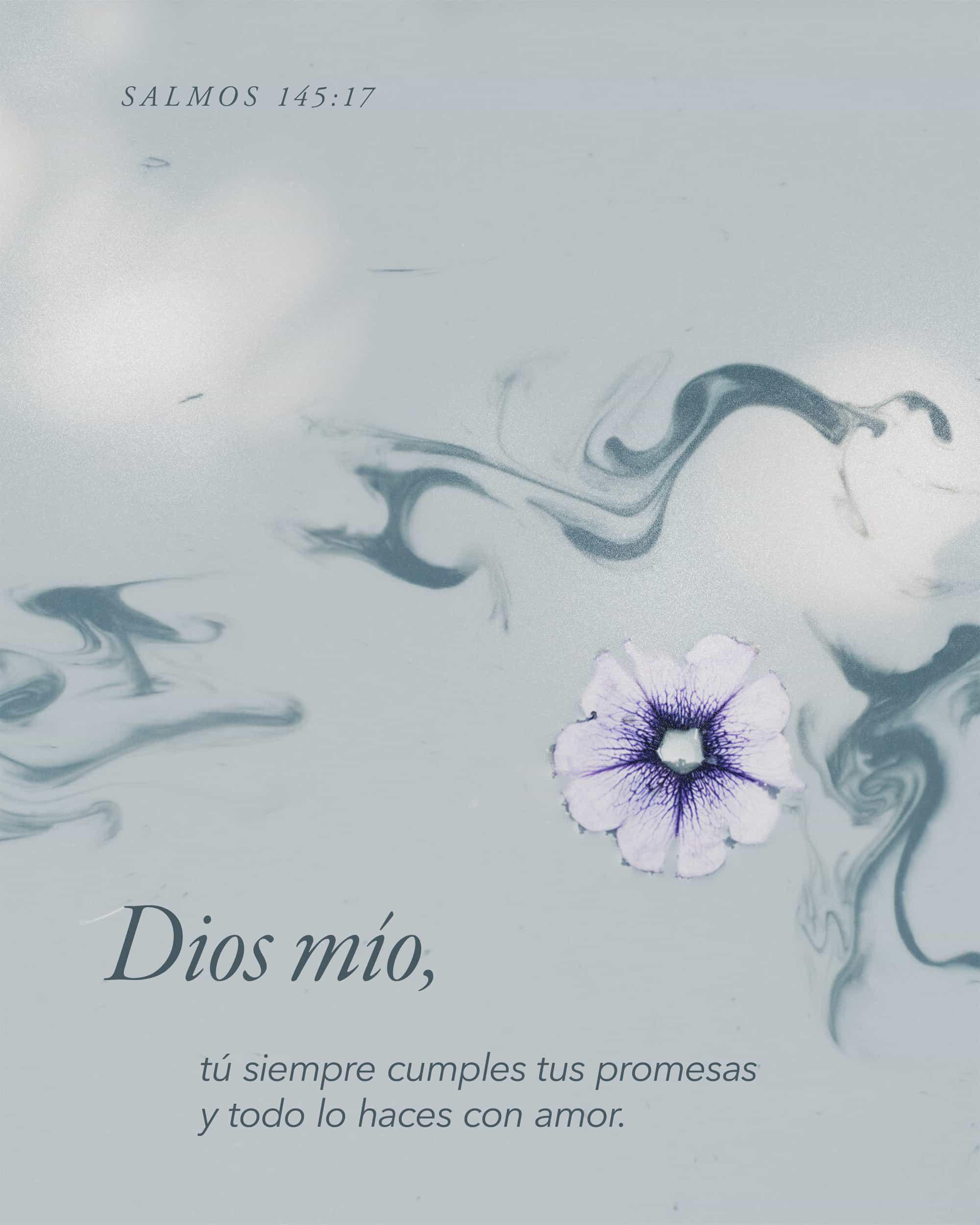 Salmos 145: 17