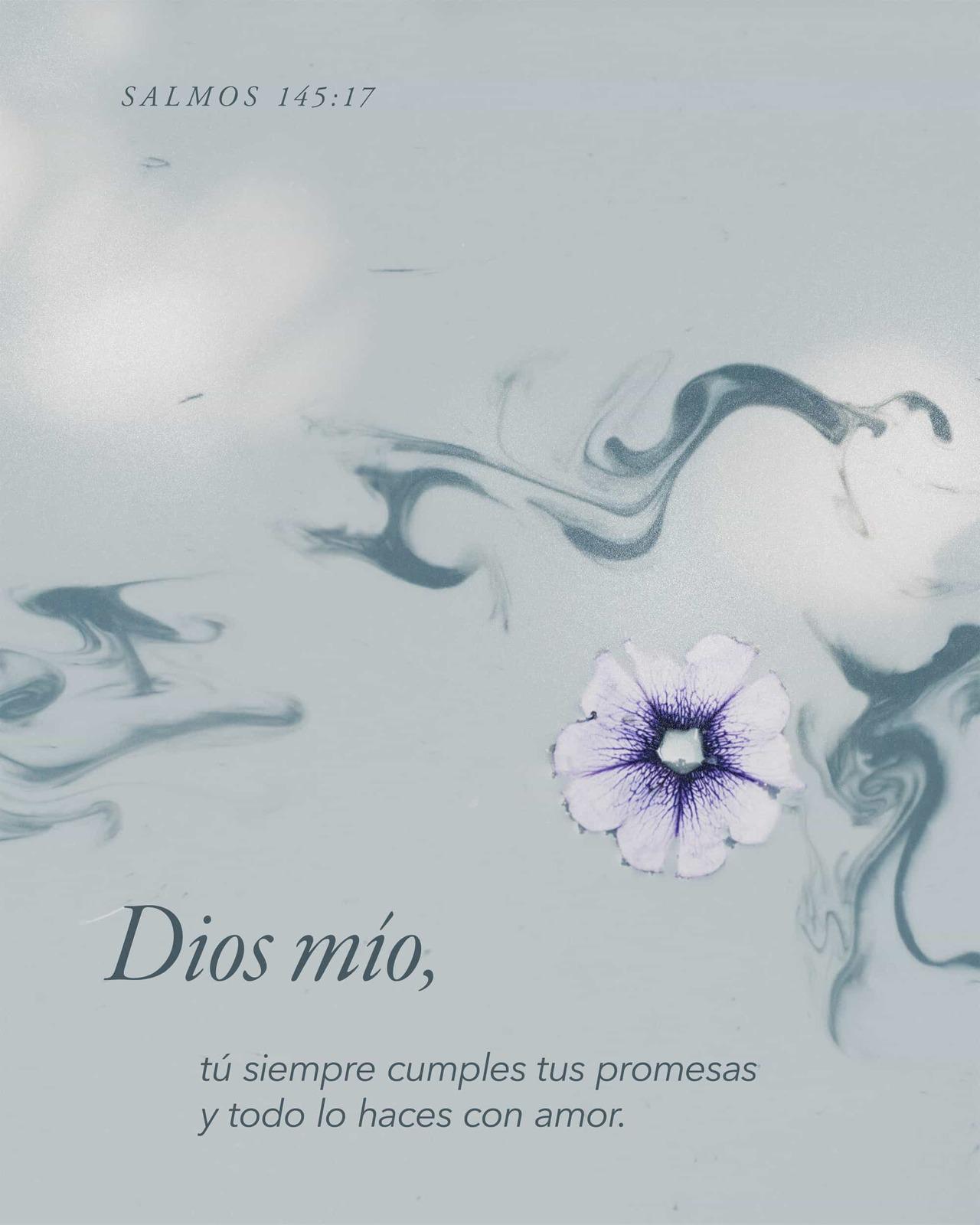 Salmos 145: 17