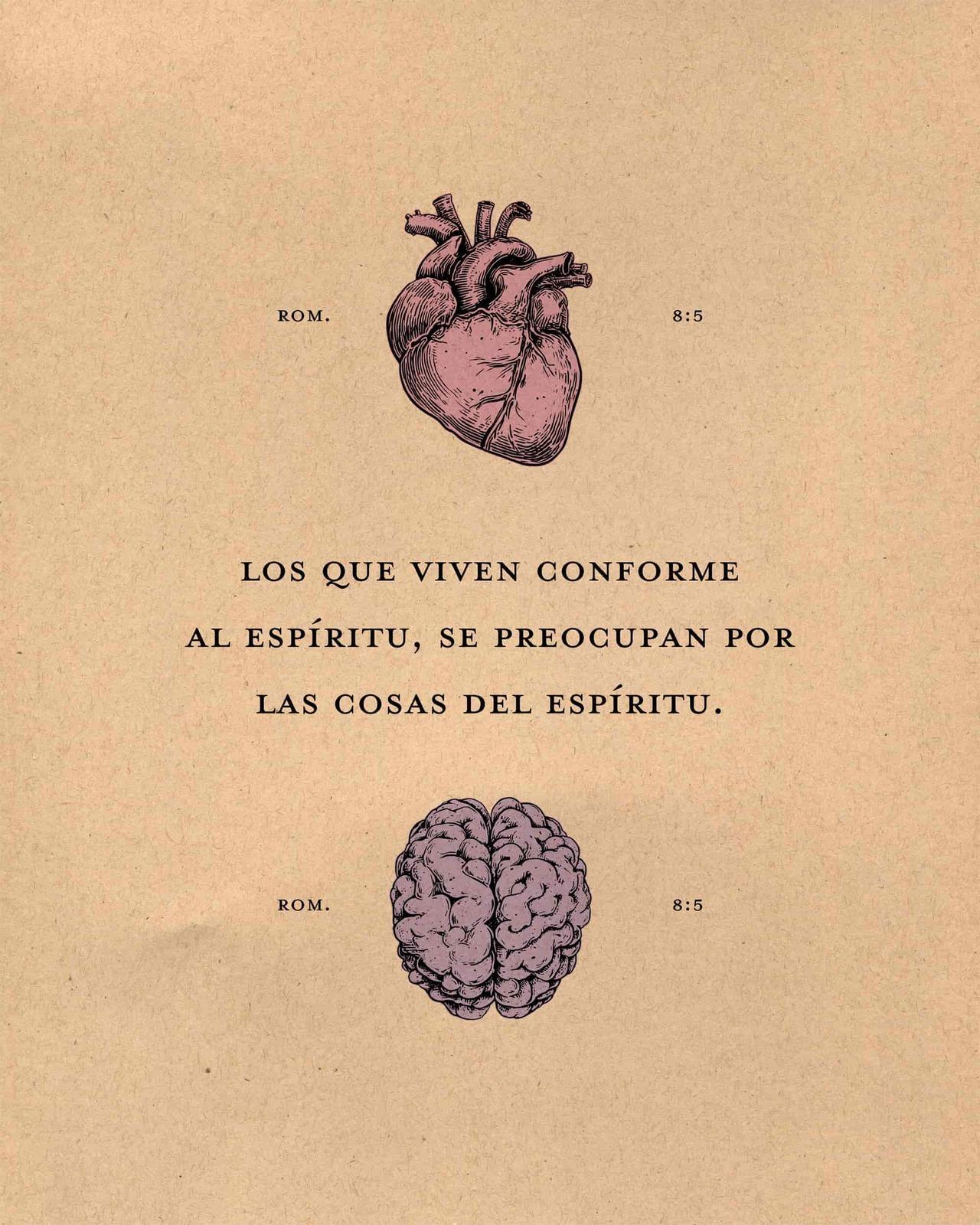 Romanos 8: 5