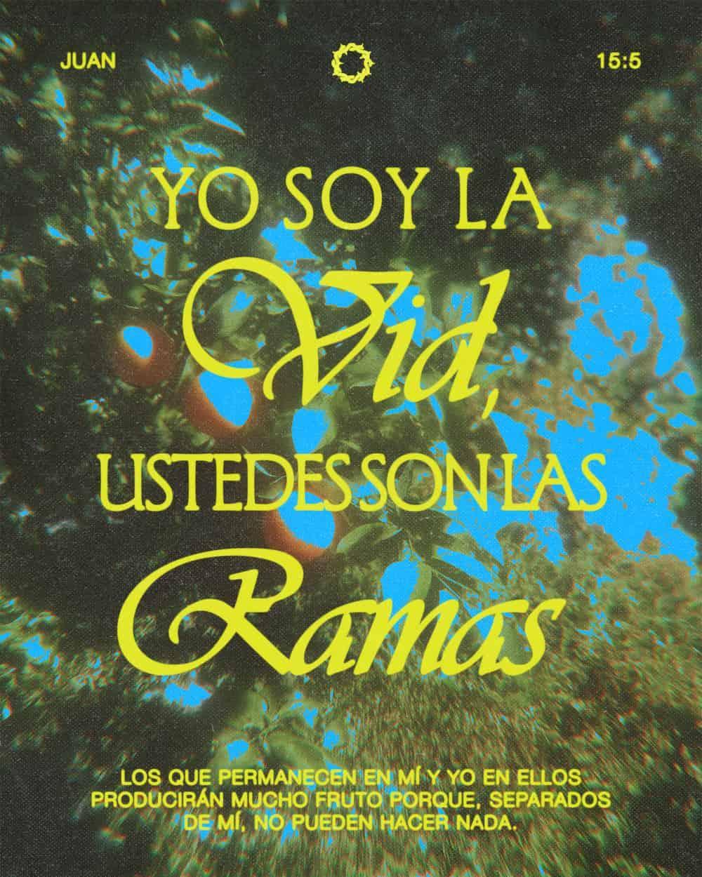 S. Juan 15: 5