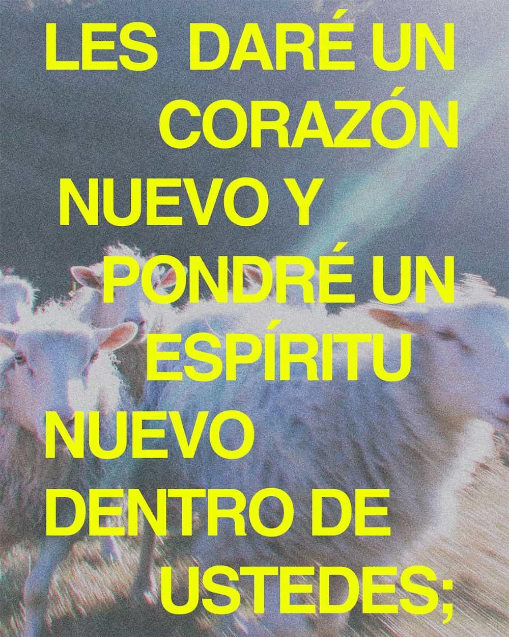 Ezequiel 36: 26