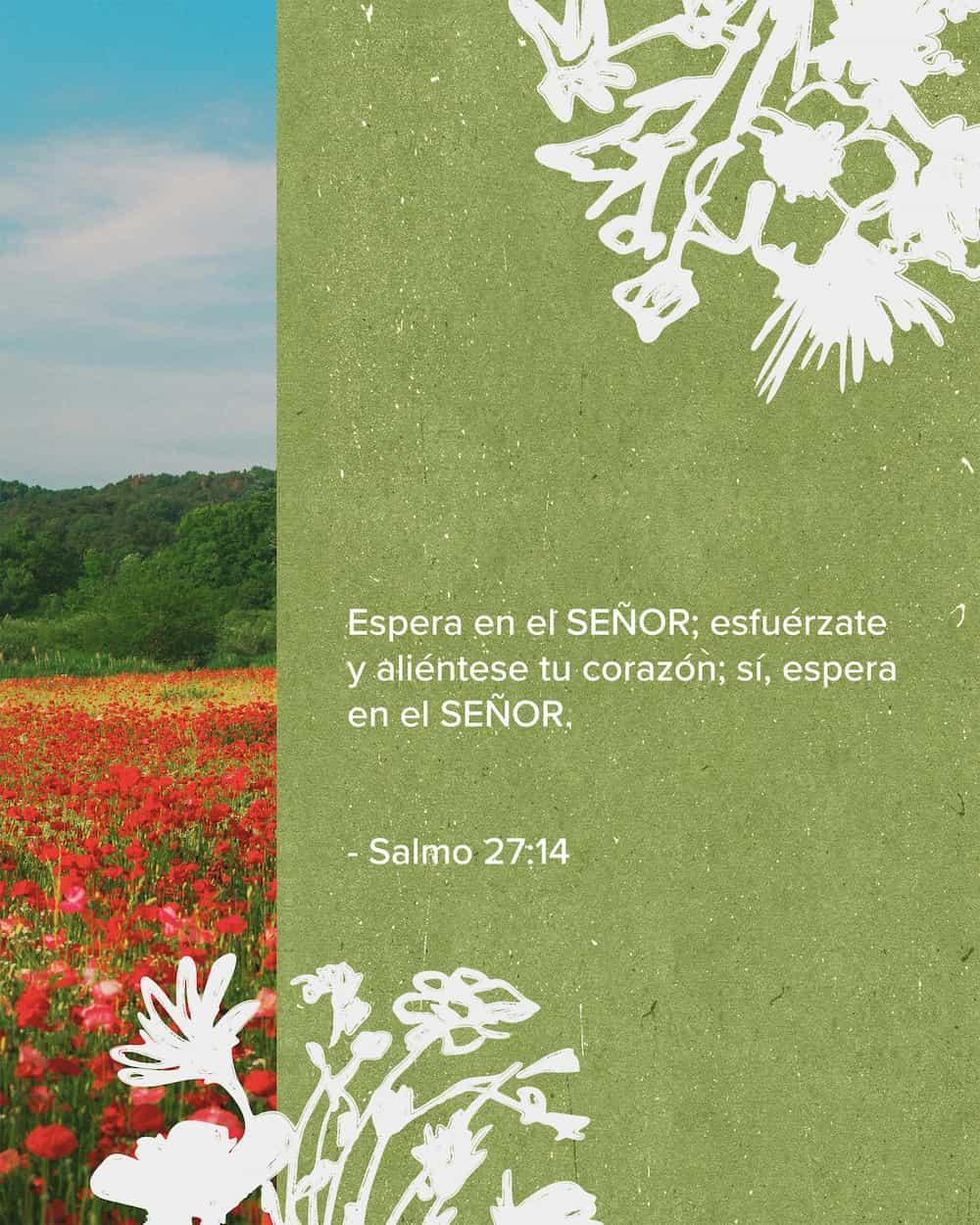 Salmos 27: 14