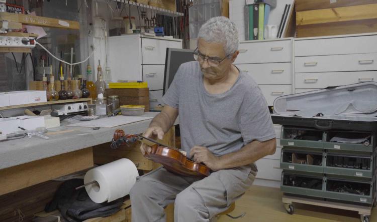 De l’arbre aux instruments à cordes : portrait d’un luthier