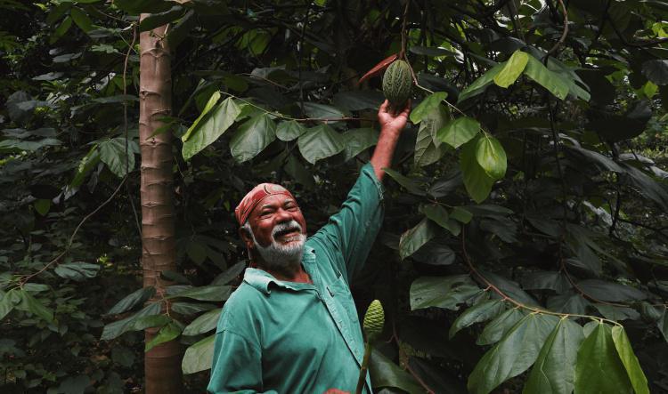 Rencontre : Dans le jardin de Paulo