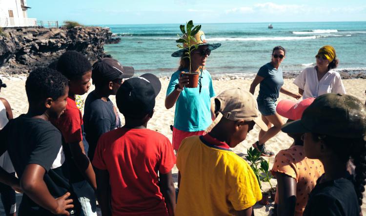 Réhabiliter les plages pour nos amies les tortues