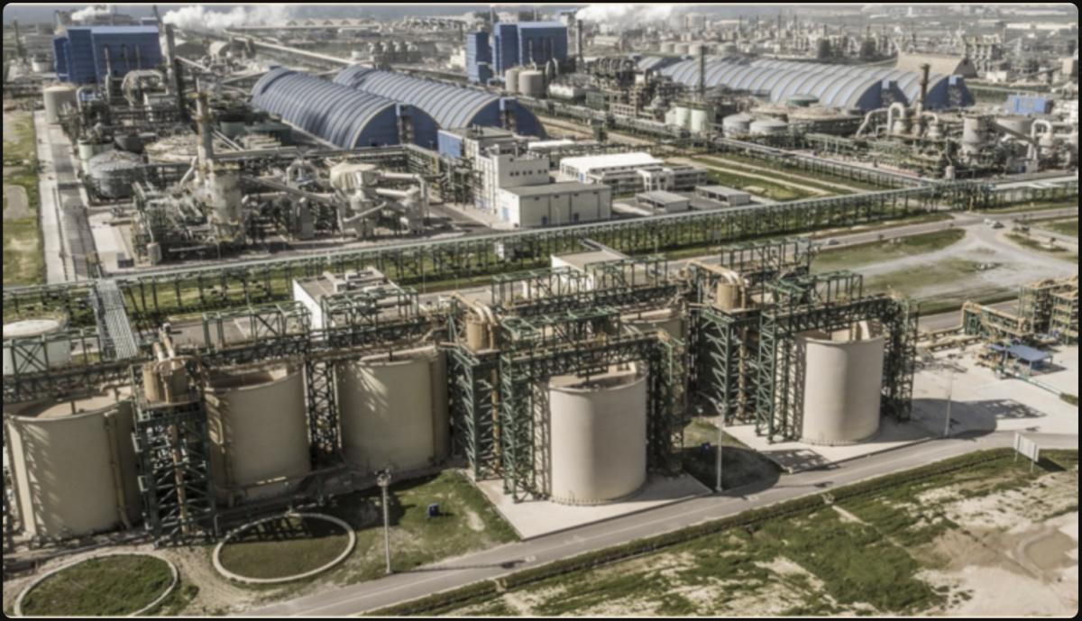 OCP Nutricrops : La nouvelle filiale du géant marocain pour une agriculture durable OCP Nutricrops : La nouvelle filiale du géant marocain pour une agriculture durable