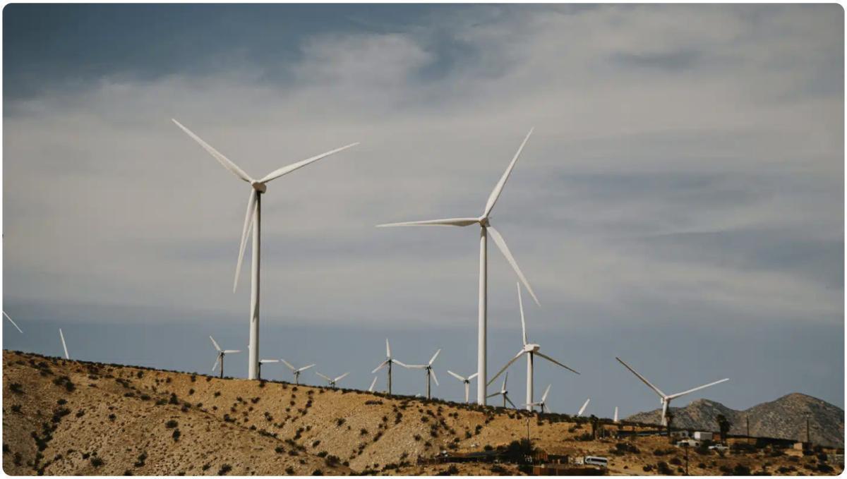 ألمانيا تدعم مشروع "سيلا أتلانتيك": رهان استراتيجي على الكهرباء الخضراء المغربية