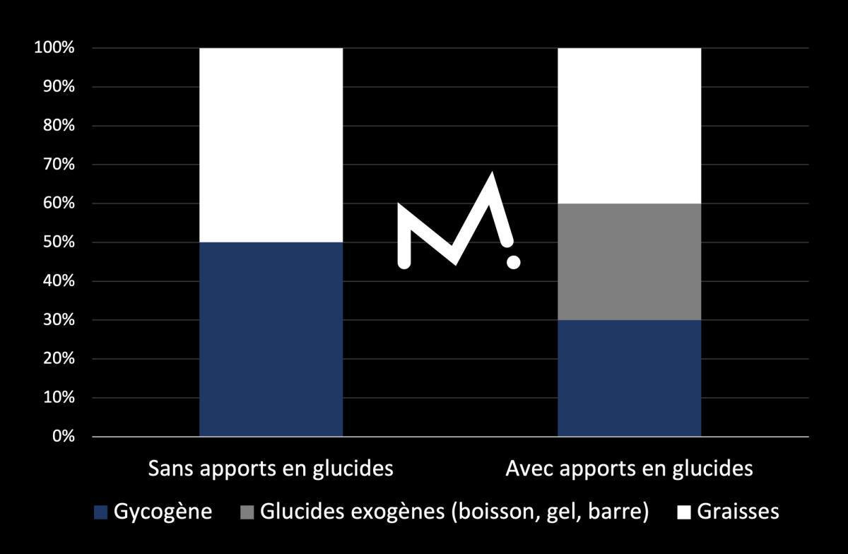 Comment être plus performant en compétition grâce aux glucides ? Comment être plus performant en compétition grâce aux glucides ?