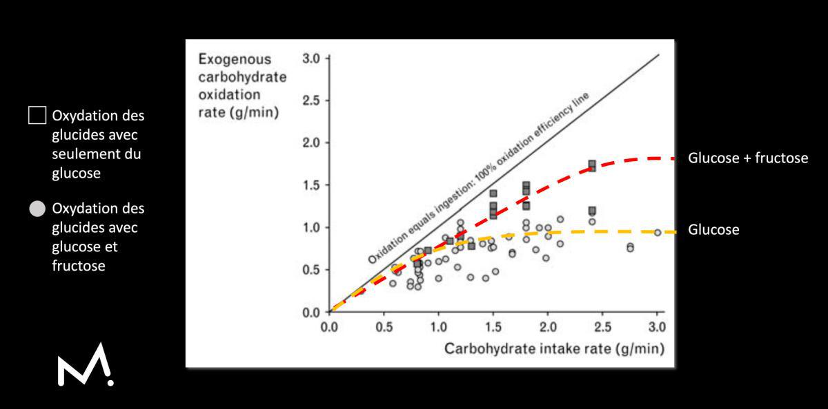 Comment être plus performant en compétition grâce aux glucides ?