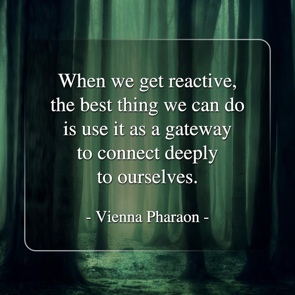 When we get reactive, the best thing we can do is use it as a gateway to connect deeply to ourselves. - Vienna Pharaon