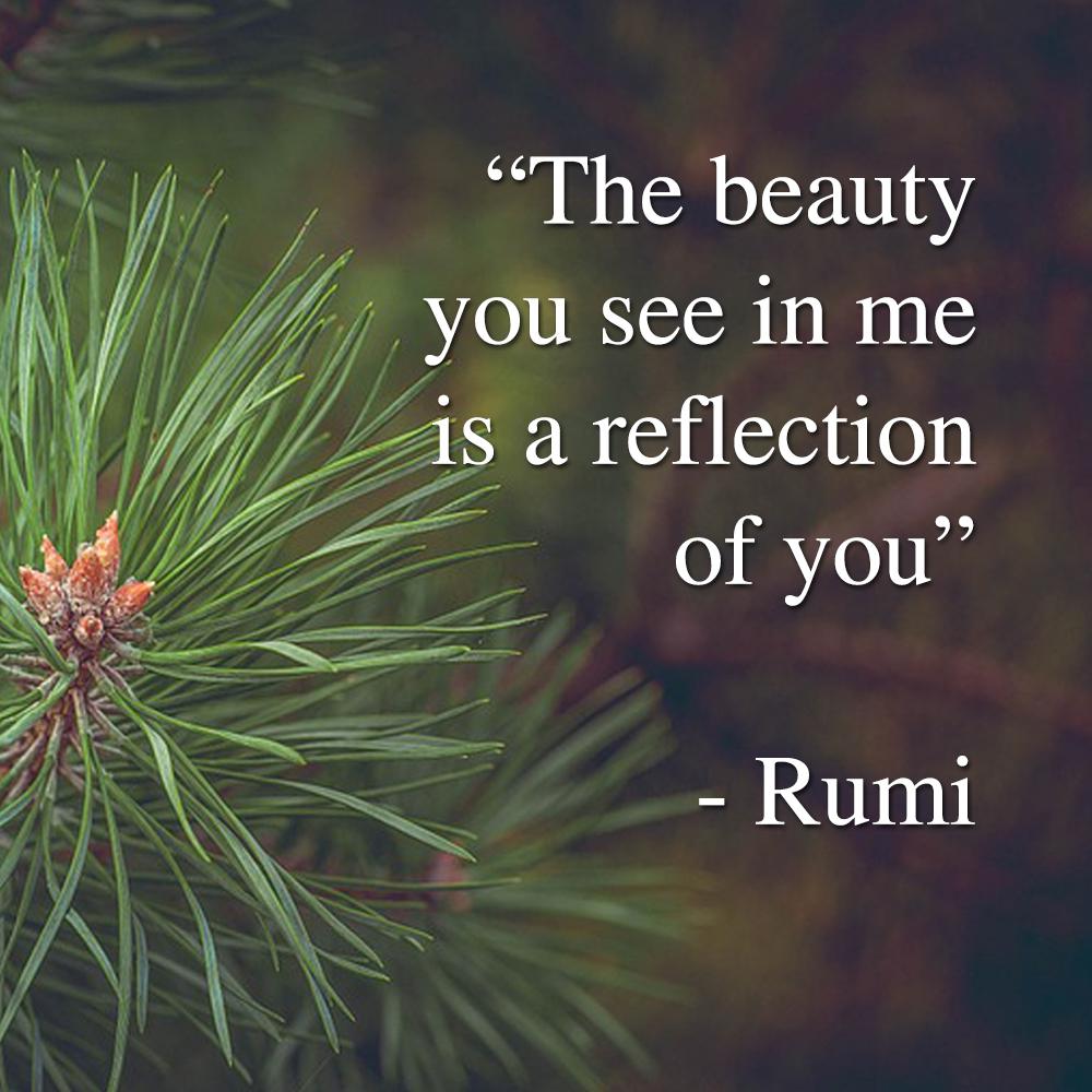 The beauty you see in me is a reflection of you. - Rumi