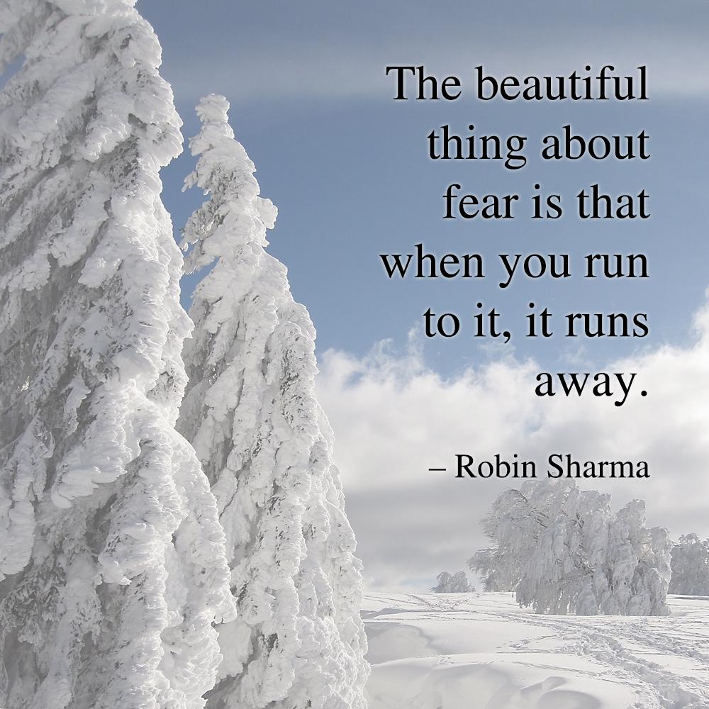 The beautiful thing about fear is that when you run to it, it runs away. - Robin Sharma