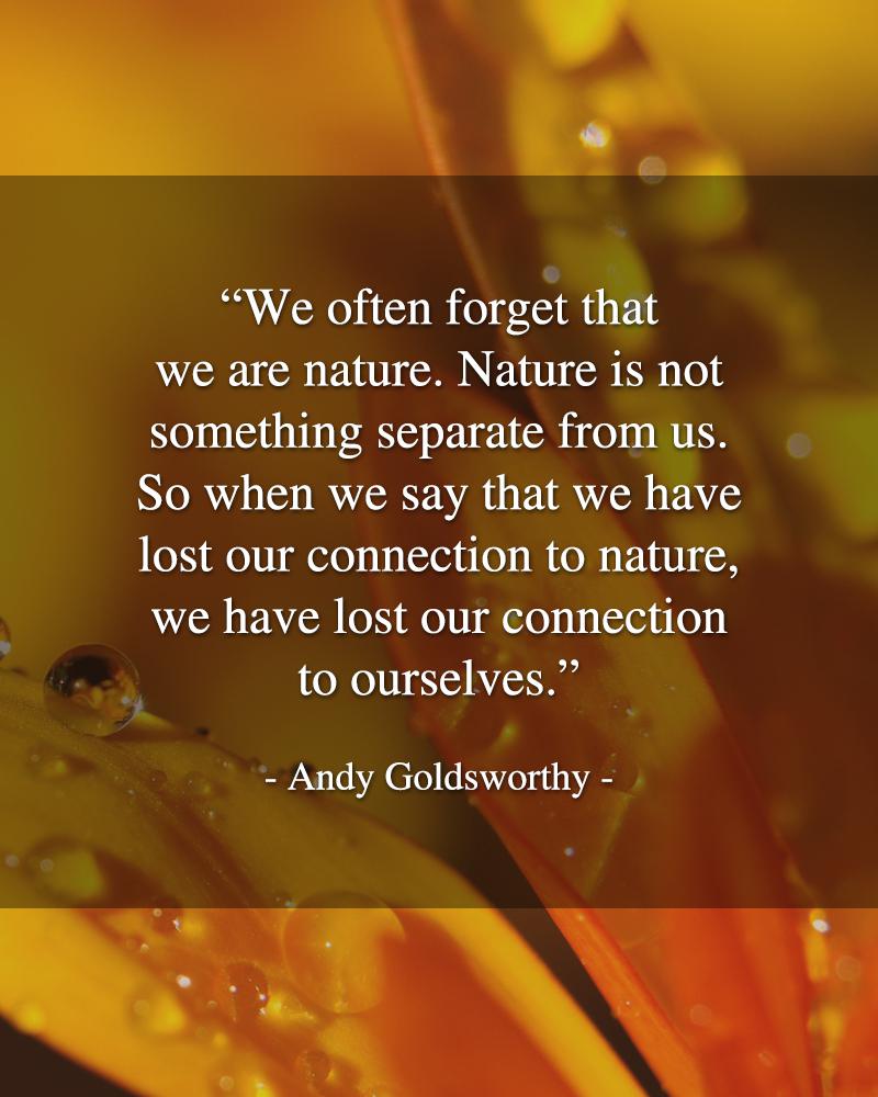 We often forget that we are nature. Nature is not something separate from us. So when we say that we have lost our connection to nature, we have lost our connection to ourselves. - Andy Goldsworthy