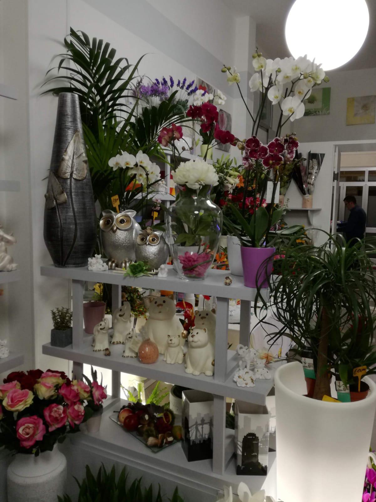 L'Eden del Fiore L'Eden del Fiore