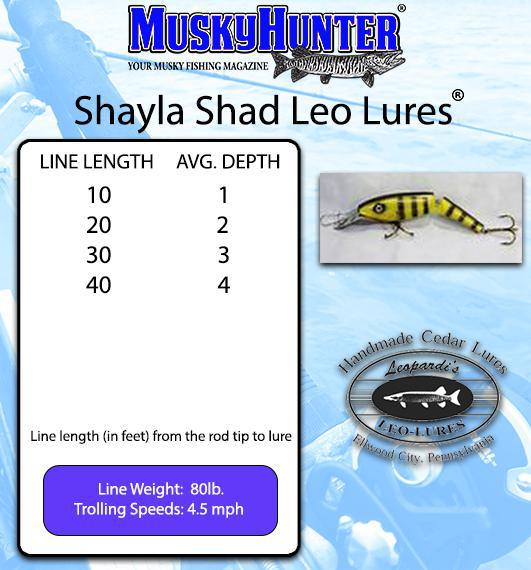 Shayla Shad Leo Lures