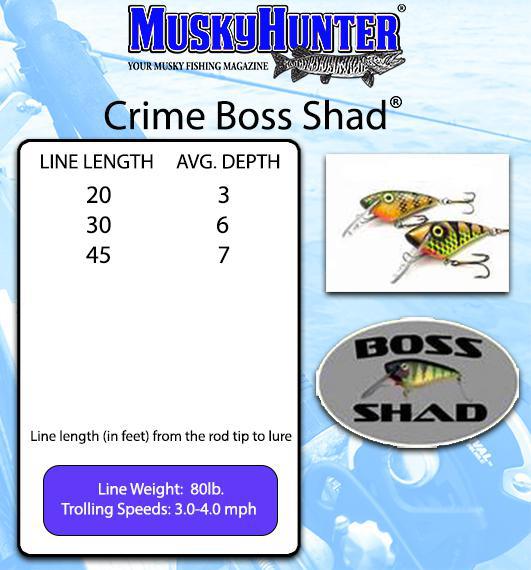 Crime Boss Shad