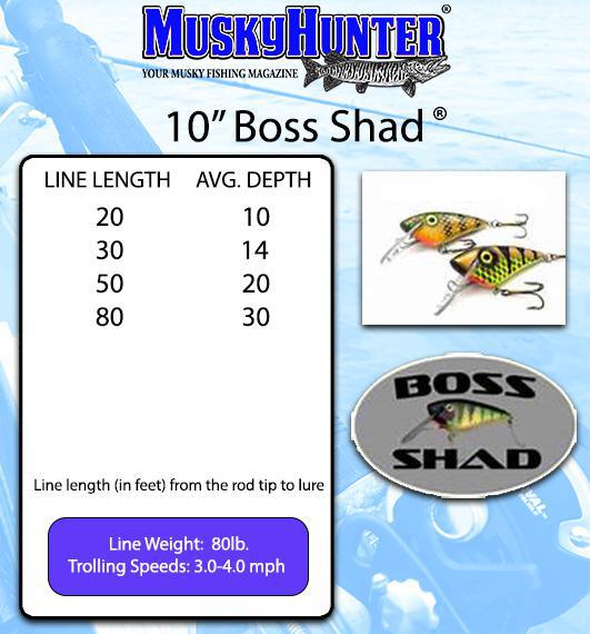 10" Boss Shad