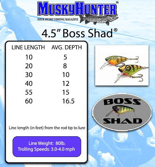 4.5" Boss Shad