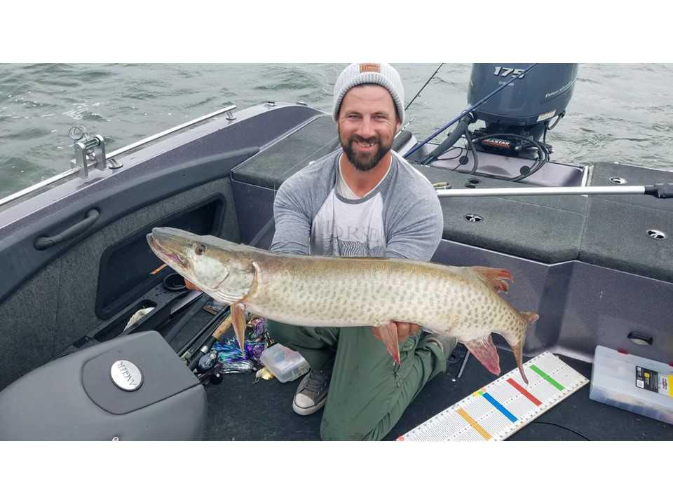 PMTT Q3 Musky Hunter Late Summer Showdown Final Results PMTT Q3 Musky Hunter Late Summer Showdown Final Results