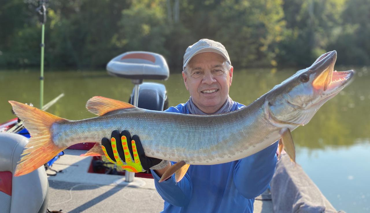 My first musky on the fly caught it on a Black Bulkhead
