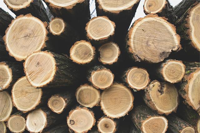 Vente de bois de chauffage