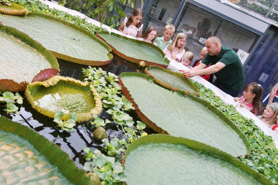 Botanic Garden