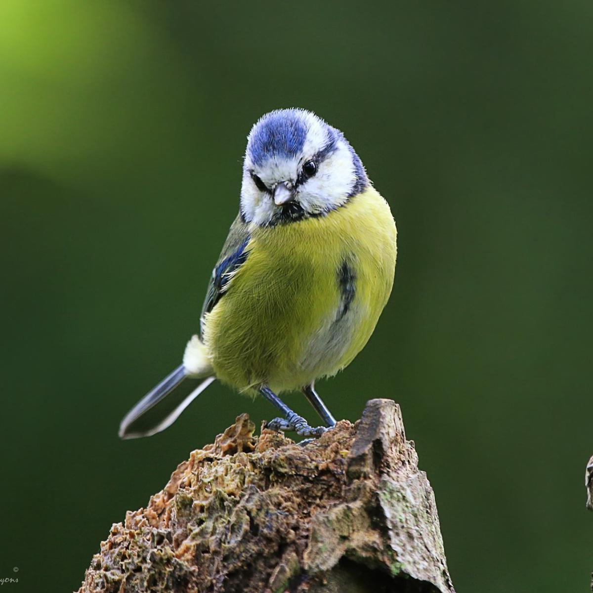 Hardwick Park