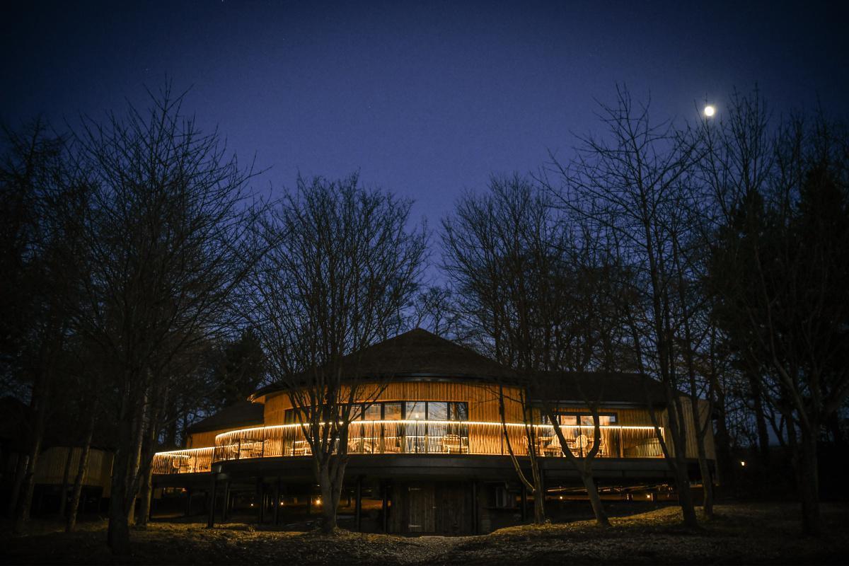 Ramside Hall Treehouses