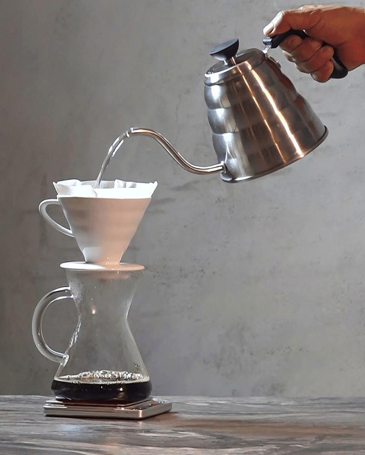 The Coffee Lover’s Beginner’s Course