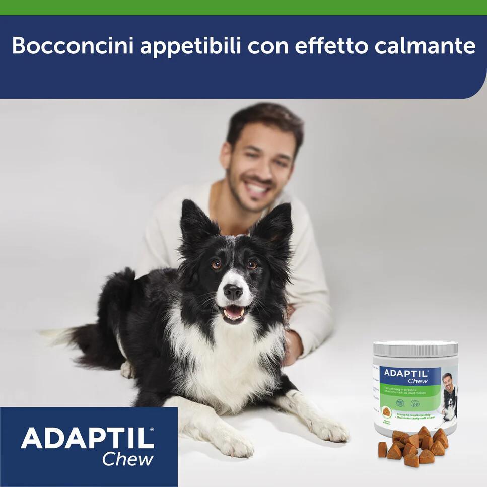 ADAPTIL Chew: bocconcini altamente appetibili 🐶