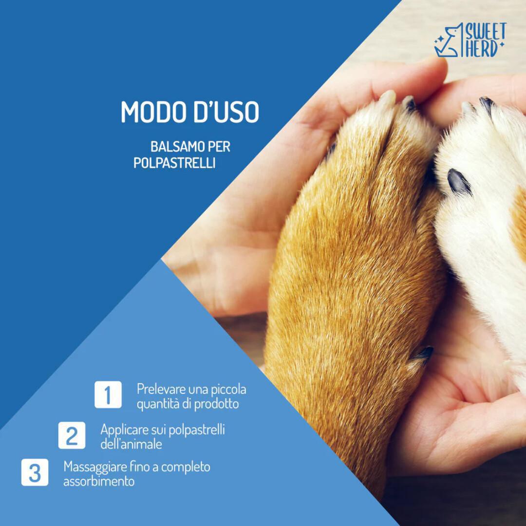 🐾 Zampe protette, estate perfetta! 🌞 🐾 Zampe protette, estate perfetta! 🌞