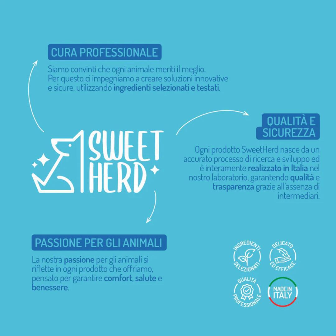 🐾 Zampe protette, estate perfetta! 🌞 🐾 Zampe protette, estate perfetta! 🌞